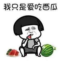 全娱乐都得吃我的瓜,全娱乐都得吃我的瓜,真相大起底! 第1张 全娱乐都得吃我的瓜,全娱乐都得吃我的瓜,真相大起底! 第1张